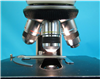 Olympus Microscope BH-2 939548
