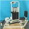 Cybex Rotary Calf 4620 941043