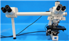 Zeiss Microscope Axioskop 945311