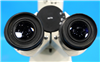 Zeiss Microscope Axioskop 20 945314