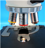 Zeiss Microscope Axioskop 20 945314