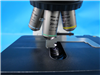 Nikon Microscope Eclipse 50i 950112