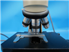 Olympus Microscope BHTU 950105