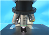 Nikon Microscope Eclipse 50i 950114