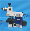 Zeiss Microscope Axio Imager A1 951482