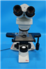 Leica Microscope 951489