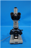 Nikon Microscope Labophot 952946