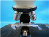 Nikon Microscope Labophot 952946