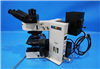 Olympus Microscope BX60 952935