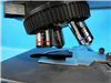 Olympus Microscope BX60 952935