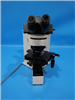 Olympus Microscope BX60 952935