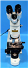 Euroimmun Microscope EUROStar III Plus 954504