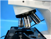 Euroimmun Microscope EUROStar III Plus 954504