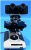 Olympus Microscope BH-2 954502
