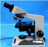 Olympus Microscope BH-2 954502