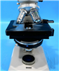 Zeiss Microscope Standard 14 954665